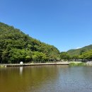 운암지수변공원 | 대구 운암지 수변공원 수국은 없었지만 자연 속 힐링 산책
