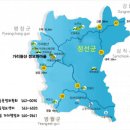 풍기인삼마을 Daum카페