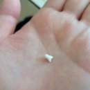 서울이원치과의원 이미지