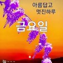 숙 Daum카페