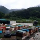 만세동농장 네이버블로그
