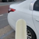 서주식당