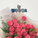 행복 이미지
