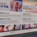 양재바른정형외과의원 이미지