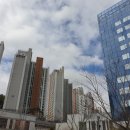 동백에이스의원 이미지