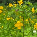 상도근린공원 산책로 이미지