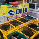 숙이네횟집 이미지