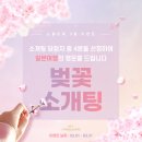 선남선녀 결혼정보 이미지