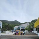 앞산자락길 | 2024년 앞산자락길 걷기대회 후기