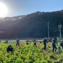 두무산촌마을 이미지