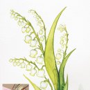 색연필드로잉 이미지