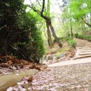 [ 4월에 걷기좋은 길 - 두번째 ] 벚꽃이 있어 걷기 좋은 숲길 / 둘레길 이미지