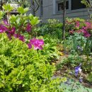 빛누리유치원 이미지