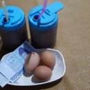 대관령24시솔가마 이미지