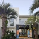 표선리-21 이미지