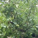 함창터미널 | 경북/ 상주&amp;함창 맛집 할매 손두부집. ❌광고 ⭕️내돈내산 후기~👌