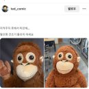 워시팡팡 셀프빨래방 화성진안점 후기 가격 카드