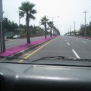 서귀포월드컵경기장 이미지