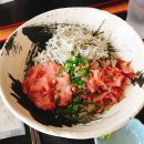 3월7(토)~11/후지산조망-이즈반도 한바퀴+@벚꽃 트레킹&amp;온천힐링[4박5일] 이미지