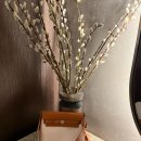 20 | 에르메스 입문 에르백20 추천 후기 착샷