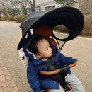 썬에이블 | [내돈내산/휴대용유모차] 에이블유모카플러스 트라이크 구매 후기! (10개월부터 사용기)