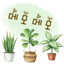 나무너머꿈 이미지