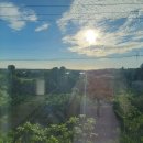 제주스타공인중개사사무소 이미지