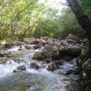 노적봉주유소 이미지