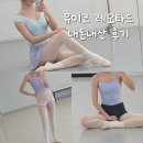 헤더 | 유미코 입문 레오타드 추천 디자인 - 엘리, 다니엘라, 헤더 내돈내산 후기, 사이즈 팁