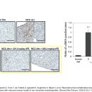 정 한의원 이미지