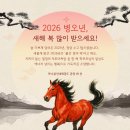 신광태권도 이미지