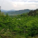 후레쉬팩토리 이미지