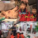 돼지코 이미지
