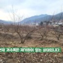 중현농장 이미지