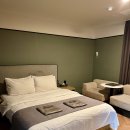 브라운도트2 이미지