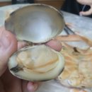 순천만상회 | 노량진 수산시장 대게 포장 맛집 순천만상회 만족 후기