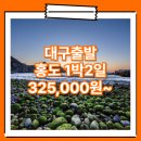 천촌 | 대구_홍도_1박2일 #흑산도 / 대구출발 홍도 패키지 여행 / 목포여객선터미널