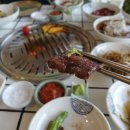 갈비진리