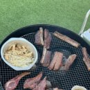 더스테이 골드독 이미지