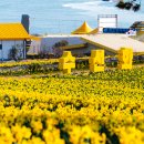 선도식당 이미지