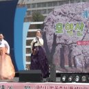 김제 금산사 벚꽃축제 이미지