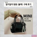알키알카 핑퐁 블랙 구매 후기! (Ping-Pong, Black / 마이크로백 / 미니백 추천)