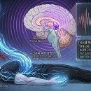 제3화: 알파와 세타의 공명 이미지