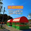 오토오아시스 아산스타점 | 아산 차박 모나팜캠핑장 후기, 가족 친화적 오토캠핑장
