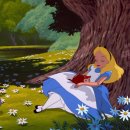 더화이트호텔(빌라동,테라스동) | w3. 대구워킹 홀투어후기 1탄 | 26년 하반기 견적공유...라테라스 라폰타나홀 , AW호텔 앨리스홀