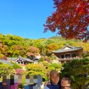 [ 일상 ] 2024.10.28~