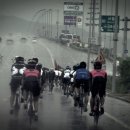 강촌농장 이미지