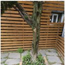 평화펜션 | 목포독채펜션 도심 속 평화로운 쉼터, 유달산의아침 체험 후기