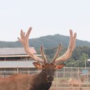 성록농장 네이버블로그