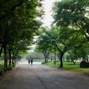 부천중앙공원 이미지